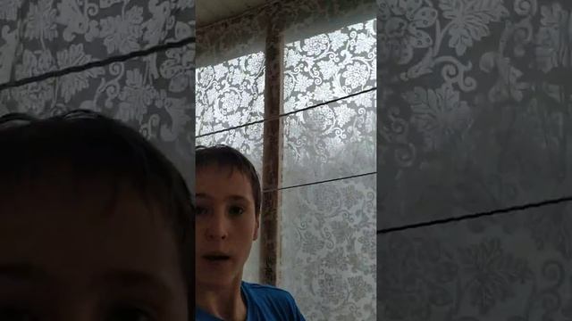 VLOG:мои комнатные растения смотреть онлайн