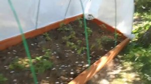 Как закрепить укрывной м-ал на торцах маленьких парников..