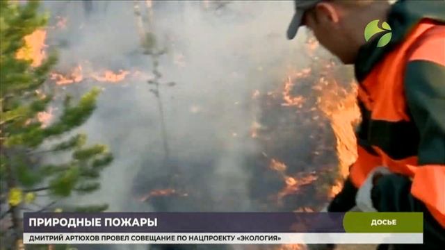 На Ямале действуют 11 лесных пожаров смотреть онлайн