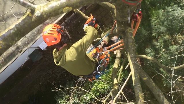 Echo CS 2510 TES Arborist Saw