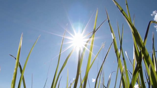 туча хмурится под солнцем стихи читает автор В. Дмитриев смотреть онлайн