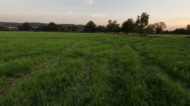 Почему Русские Немцы Уезжают из Германии в Россию?