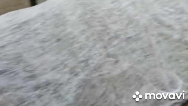 РАБОТАЕМ ,КАК СТАХАНОВЦЫ-С ВОСКРЕСЕНЬЯ И ДО СИХ ПОР!ЧТО НАТВОРИЛИ НА УЧАСТКЕ!МОЯ РАССАДА! смотреть онлайн