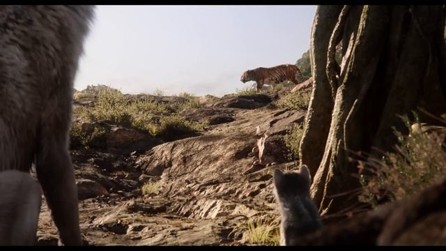 The Jungle Book смотреть онлайн