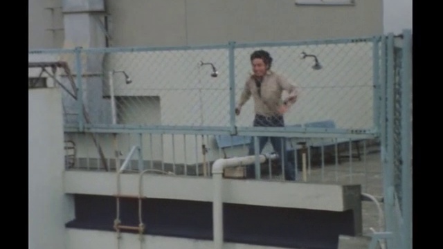 太陽にほえろ！ 第271話 警察犬ブラック