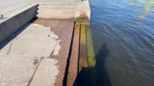 Делаем Сальто с набережной в Неву! Новые Паркур Челленджи над водой? / Parkour Water Challenge??