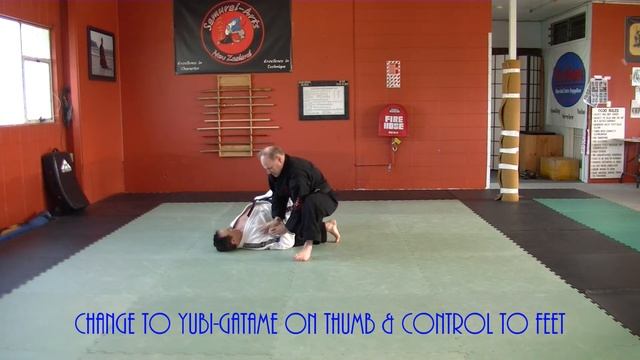 Wrist And Armlock Transitions