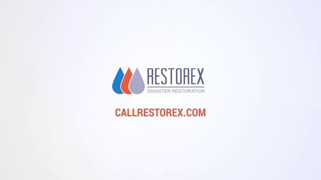 Restorex Disaster Restoration - Quick Company Overview смотреть онлайн