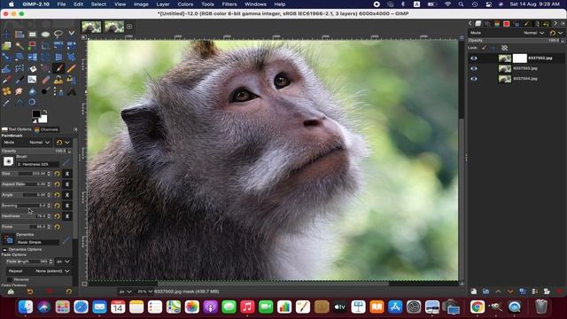 How to Focus Stack Photos in Gimp | Tutorial 28 смотреть онлайн