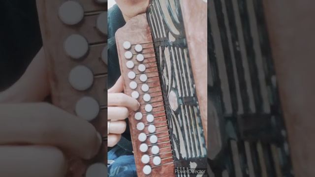 КҮН АУЫЛЫ - разбор на ГАРМОНИ. Учимся соединять ДВУМЯ РУКАМИ. #кариммуратов #баянпобратски смотреть онлайн