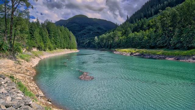 Картинка природа. Washington State, деревья, горы, пейзаж, лес, Riffe Lake, JPEG смотреть онлайн