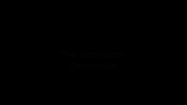 Kodiak Bear vs. Saltwater Crocodile смотреть онлайн
