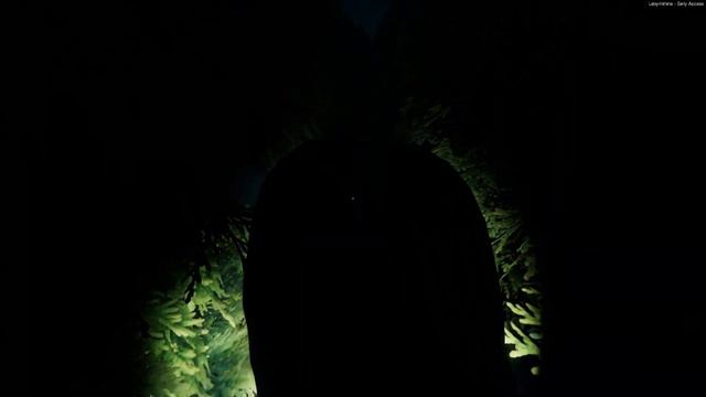 Кооперативные приключения в Labyrinthine Ночь №2 "Громкая и крайне приставучая женщина" смотреть онлайн