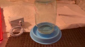 Размеры брудера для перепелов.  Сделать брудер для перепелок своими руками