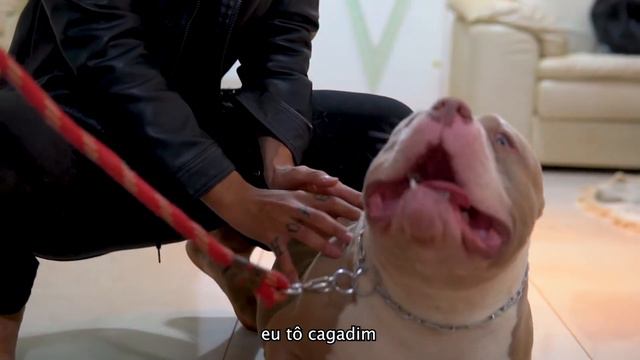 ♫ ESPIRRA O LANÇA - DJ Serpinha e MC 2Jhow (Paródia) смотреть онлайн