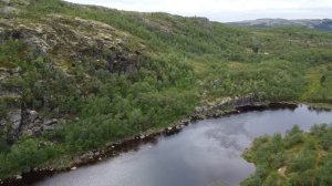 Рыбалка на Кольском. Река Ура . Июль , 2020 год .