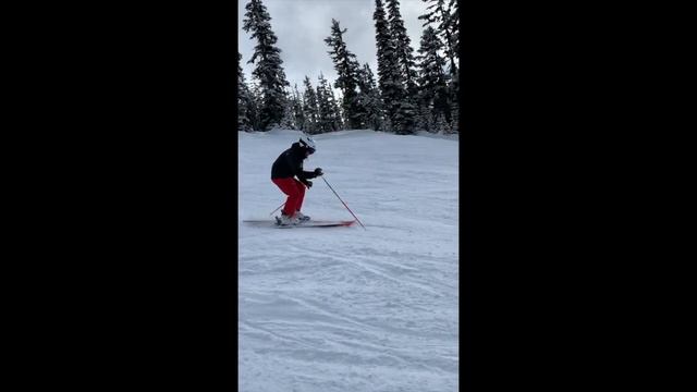 Javier Fuentes - Skiing Drills to improve your technique смотреть онлайн