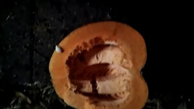 Собираем семена из тыквы смотреть онлайн