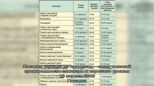 Когда сеять газонную траву, сроки весеннего, летнего и осеннего посева