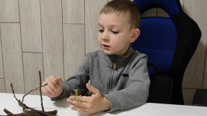 ЕДА ДЛЯ БОГОМОЛА В ДОМАШНИХ УСЛОВИЯХ. ЧЕМ КОРМИТЬ БОГОМОЛА