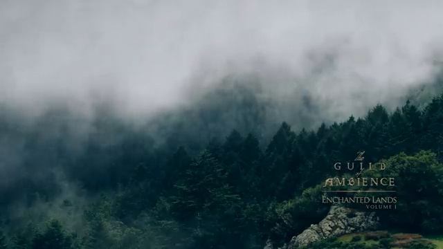 1 hour of Ambient Fantasy Music _ Tranquil Atmospheric Ambience _ Enchanted Lands смотреть онлайн
