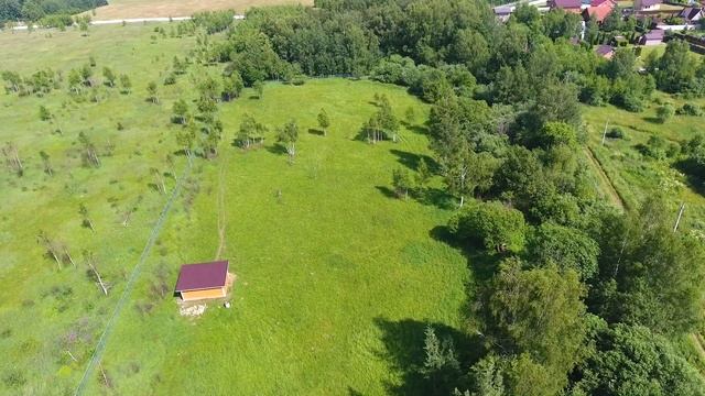 Родилось много крольчат. Доделали выпас для коз и баранов. Ищем собаку. /кролиководство в деревне