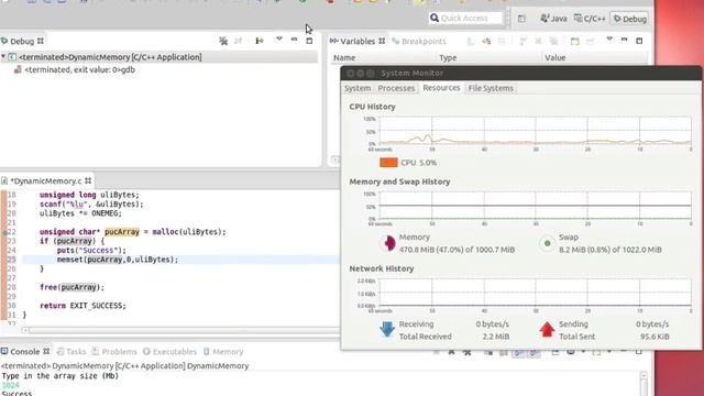 Supplimentary Video Observing the heap manager on Linux CC смотреть онлайн