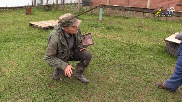 Как отучить собаку подбирать с земли, так дрессировали в СССР смотреть онлайн