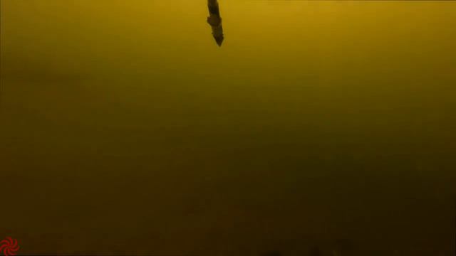 Подводная охота на сазана в Волгограде. Полная. Underwater hunting for carp. смотреть онлайн