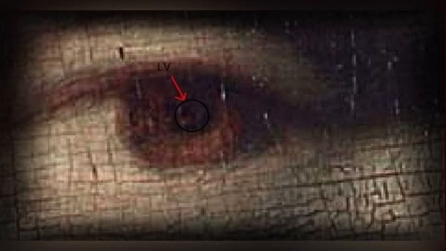 Какой секрет хранит Мона Лиза? смотреть онлайн