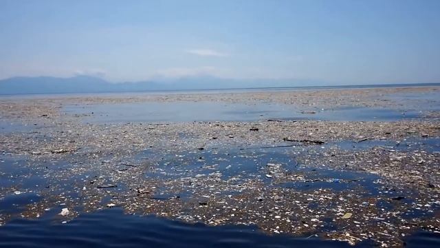 Проблема пластикового загрязнения. Как пластик влияет на наше здоровье? смотреть онлайн