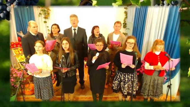 Электросталь, Виноградная лоза смотреть онлайн