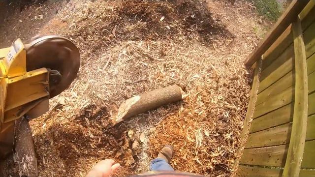 How to Grind Small Stumps with the Rayco rg50 смотреть онлайн