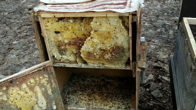 12 апреля 2022 г. ПОЕХАЛИ! смотреть онлайн