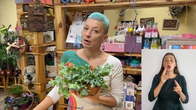 Необычный папоротник { СУРДОПЕРЕВОД } Флебодиум Давана - познакомимся поближе смотреть онлайн
