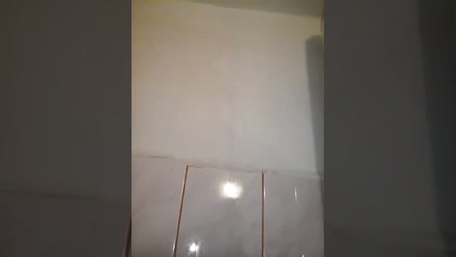 Плесень на стенах.Как избавиться? Видео 2
