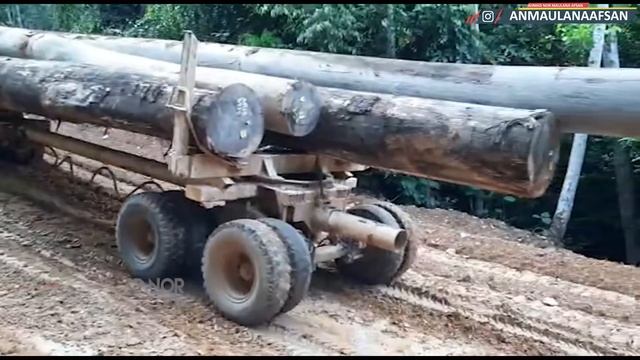VIRAL AKSI OFFROAD TRUK LOGGING HINO 500 6x6 FM 350 TH Di Jalan Ekstrim Bermuatan Kayu Besar смотреть онлайн