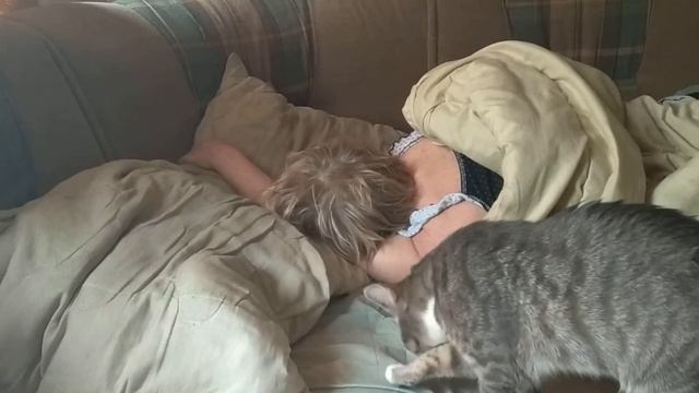 Котик-стилист смотреть онлайн