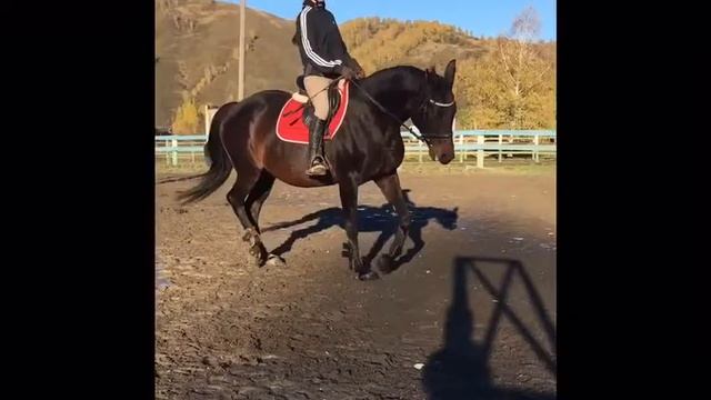 Тренировка 4 октября ?? смотреть онлайн
