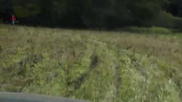 Pickup's adventure смотреть онлайн