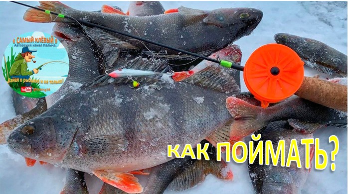 Как, где, когда ловить окуня зимой на балансир? смотреть онлайн