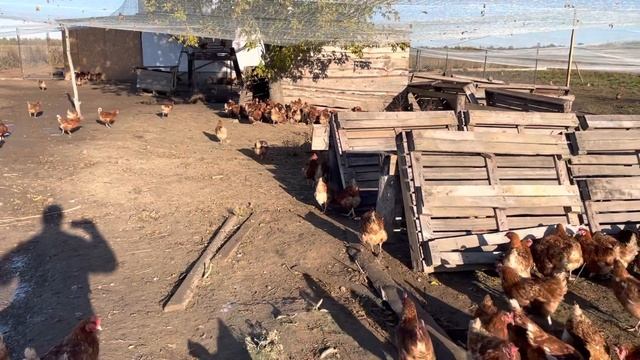 Как привлечь бесплатных клиентов. Оптимизация расходов на рекламу своего хозяйства смотреть онлайн