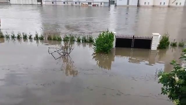 Потоп Немур День 2-1 смотреть онлайн