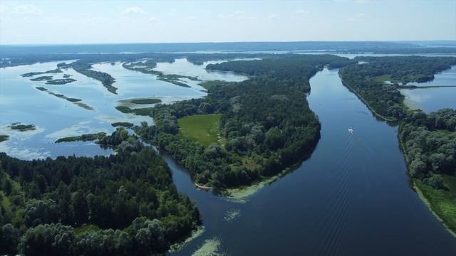 Нижегородская область, Воротынский район, Каменка, август, 2022 смотреть онлайн