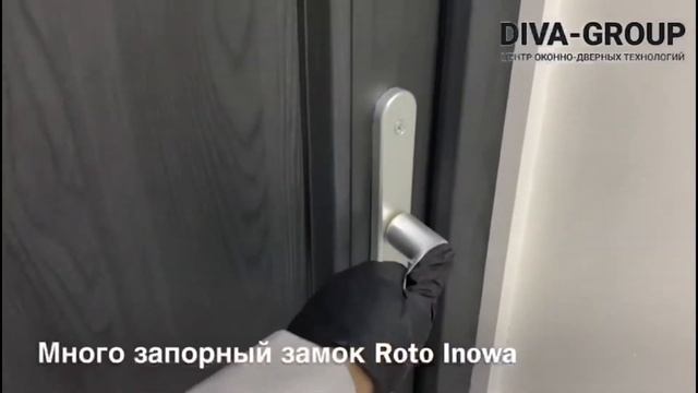 Двери Intelio 80 для загородного дома   DIVA GROUP, Беларусь