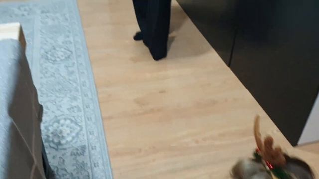 Оливейя нарядилась в олененка пока мама делает селфи на новый год #новыйгод #olivella #девочка смотреть онлайн