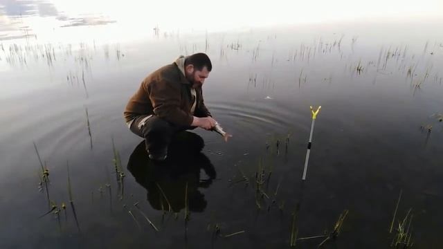 Рыбалка в лесу на озере. смотреть онлайн