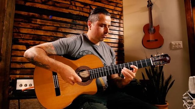 Tarantula - Ben Woods