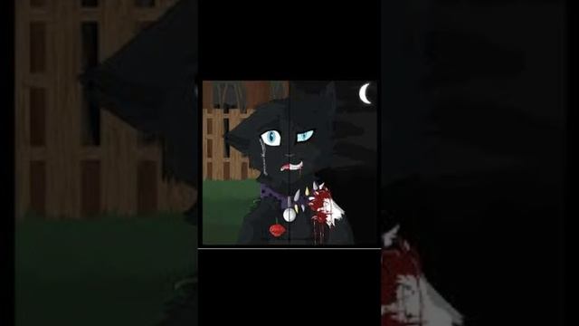 Коты воители мой чёрный стиль смотреть онлайн