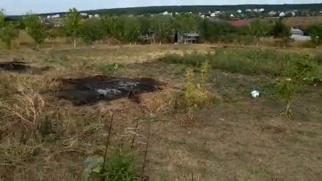 Продаётся участок 10 соток, село Ендовище, Семилукское район смотреть онлайн